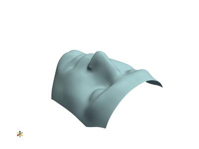 Baseline: pyvista-examples-downloads-download_face2-3c06424d69c8cbe3_00_00_vtksz