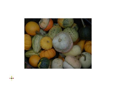 Baseline: pyvista-examples-downloads-download_gourds_pnm-9bed3f952d79c709_00_00_vtksz