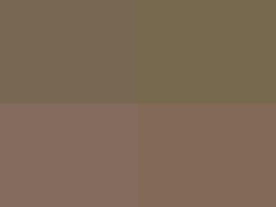Baseline: pyvista-examples-downloads-download_puppy_texture-8119f8a1eecb973c_00_00_vtksz