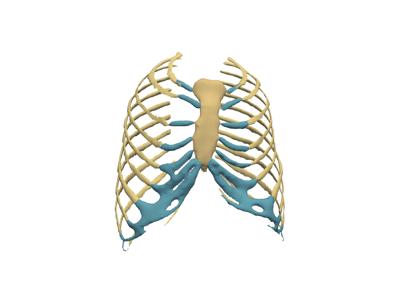 Generated: sphx_glr_anatomical_groups_006